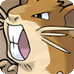 Raticate