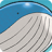 Wailord