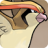 Pidgeot